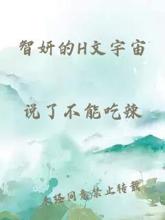 智妍的H文宇宙